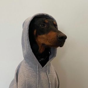 Meet your Posher, Eden